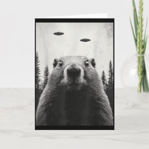 Grappige Ufo Alien Ontvoert Bosmarmot Schattige Ho Kaart