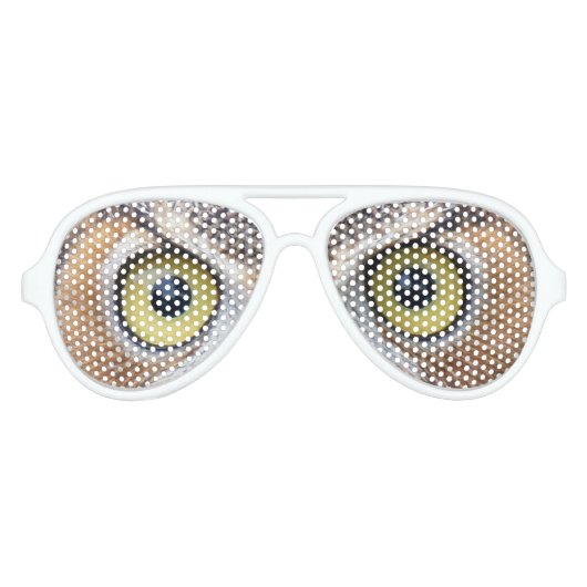 Grappige Uil oog zonnebril (Voorkant)
