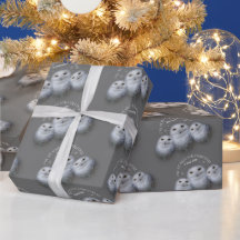 Grappige Uil We Willen Voor Kerstmis ... Sneeuwuil