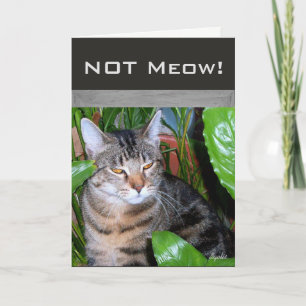 Grappige uitdrukking " Niet Miauw" Kat Notitiekaar Kaart