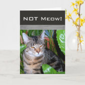Grappige uitdrukking " Niet Miauw" Kat Notitiekaar Kaart (Gele Bloem)