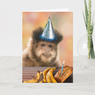 Grappige Verjaardag Capuchin Monkey Banaan Brood Kaart