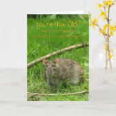 Grappige Verjaardag Kaart - Wild Brown Rat (Gele Bloem)