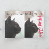 Grappige Verjaardag Kat Kaart (Binnen)