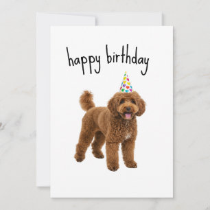 Grappige verjaardagskaart voor honden – cadeau voo kaart