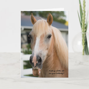 Grappige verjaardagskaart voor paarden over oud wo kaart