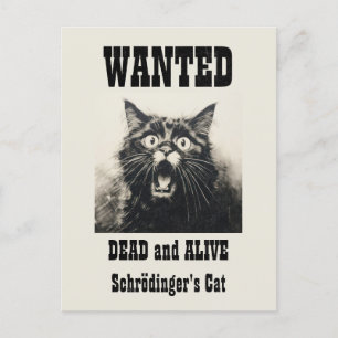 Grappige Vintage Gezocht Poster Schrödinger's Cat Briefkaart