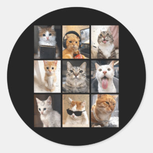 Grappige Vintage Memes Malle Kat Mannen Vrouwen Ki Ronde Sticker