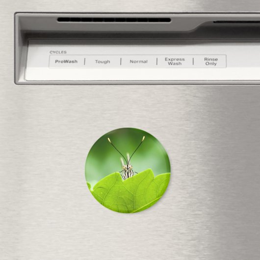 Grappige vlinder glundert over blad magneet (Insitu (Vaatwasser))