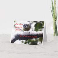 Grappige vogel in de sneeuw