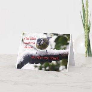 grappige vogel in de sneeuw kaart