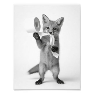 Grappige Vos Houdt Toiletpapier Minimalistische Wi Foto Afdruk