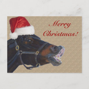 Grappige Vrolijke Kerstmis van het Pony Feestdagenkaart