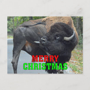 Grappige vrolijke kerststier bizon likken testikel feestdagenkaart