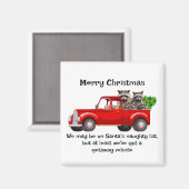 Grappige wasbeer dierenkerst magneet (Voorkant / Achterkant)