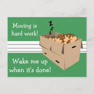 Grappige "We're Moving" Cat Nieuwe Adres Aankondig Aankondigingskaart