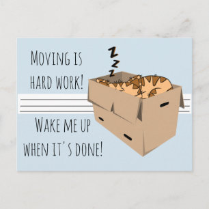 Grappige "We're Moving" Cat Nieuwe Adres Aankondig Aankondigingskaart
