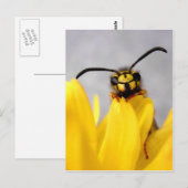 Grappige Wespansichtkaart Briefkaart (Voorkant / Achterkant)