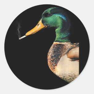 Grappige wilde eend meme met sigaret rokende eend ronde sticker