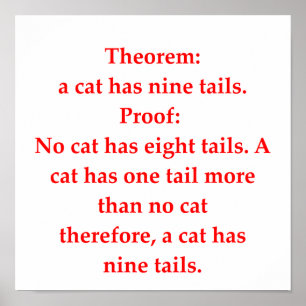 grappige wiskunde poster