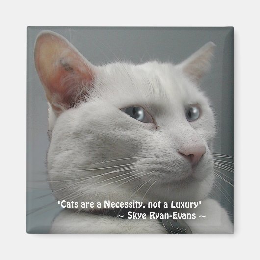 GRAPPIGE WITTE KAT Magnet Series Magneet (Voorkant)