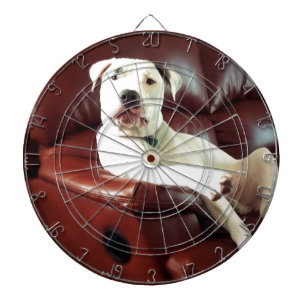 grappige witte pitbull hond op de bank dartbord