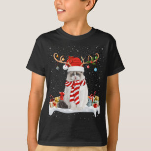 Grappige Xmas Verlichting Rendier Santa Hoed Ragdo T-shirt