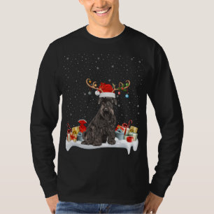 Grappige Xmas Verlichting Rendier Santa Hoed Schna T-shirt