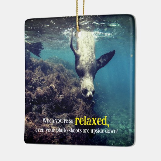 Grappige zeeen leeuw onder water keramisch ornament (Links)