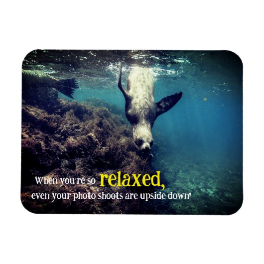 Grappige zeeen leeuw onder water magneet (Horizontaal)