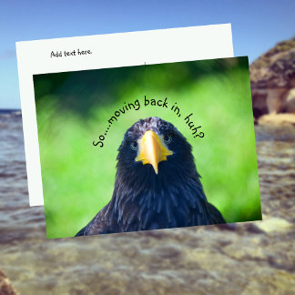 Grappige zeehavik vogel•Aangepast Aankondigingskaart