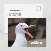 GRAPPIGE Zeemeeuw Aankondigingskaart (Voorkant / Achterkant)
