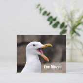 GRAPPIGE Zeemeeuw Aankondigingskaart (Staand voorkant)
