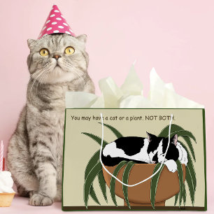 Grappige Zwart-Witte Tuxedo Kat Slapend in Huispla Groot Cadeauzakje