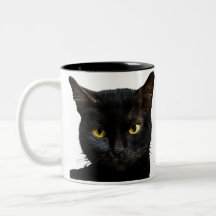 Grappige Zwarte Kat Koffie mok Snijd Kat Liefhebbe