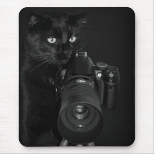 Grappige zwarte kat met de camera muismat