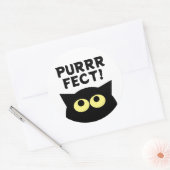 Grappige zwarte kat stickers met aangepaste quotes (Envelop)