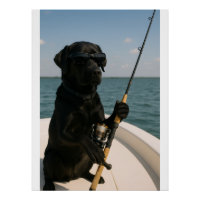 Grappige zwarte Labrador-hond vist