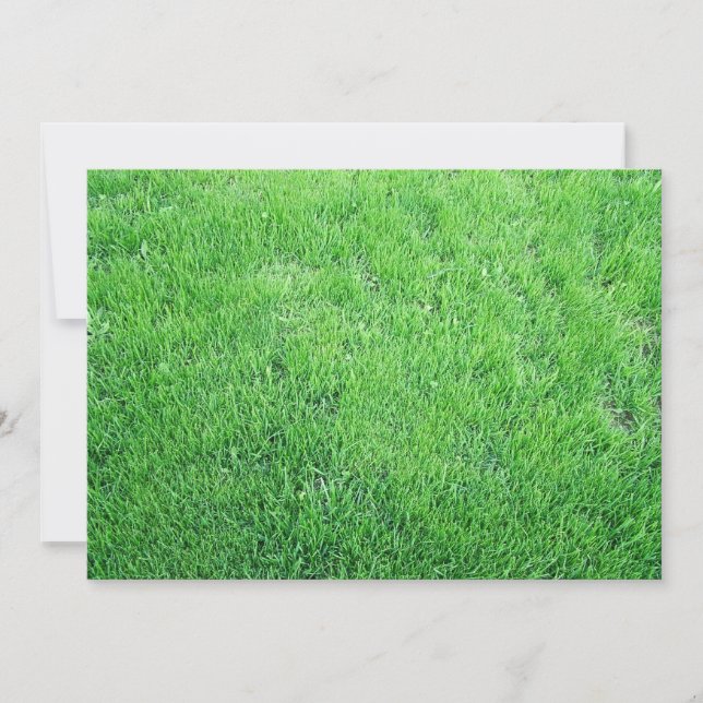 Gras (Voorkant)