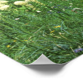 gras bij het meer van Eunice, Mt. Rainier NP, WA; Poster (Hoek)