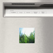 Gras & blauwe lucht magneet (Insitu (Vaatwasser))