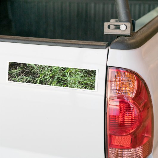 Gras Bumpersticker (Op Truck)
