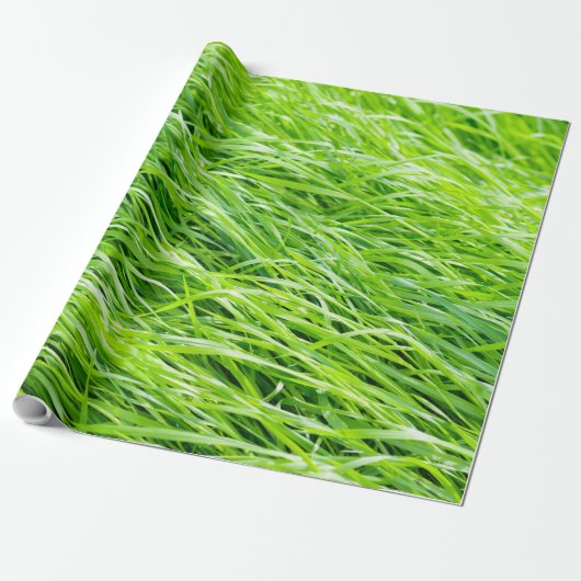 Gras Cadeaupapier (Uitgerold)