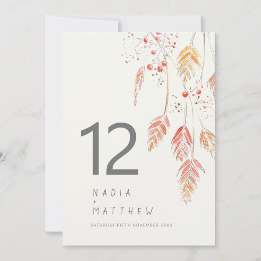 Gras en bessen vallen onder het nummer van de trou (Voorkant)