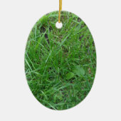 Gras Keramisch Ornament (Voorkant)