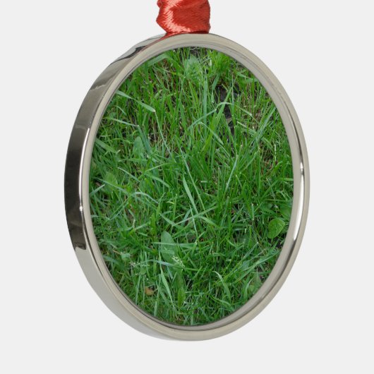 Gras Metalen Ornament (Rechts)