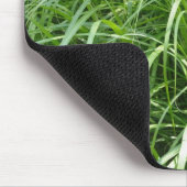 gras muismat (Hoek)