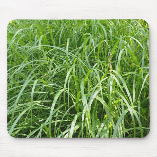 gras muismat (Voorkant)