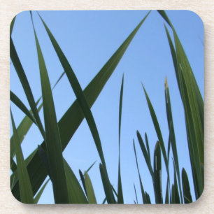 Gras Onderzetters