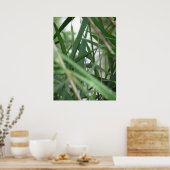 Gras Poster (Keuken)